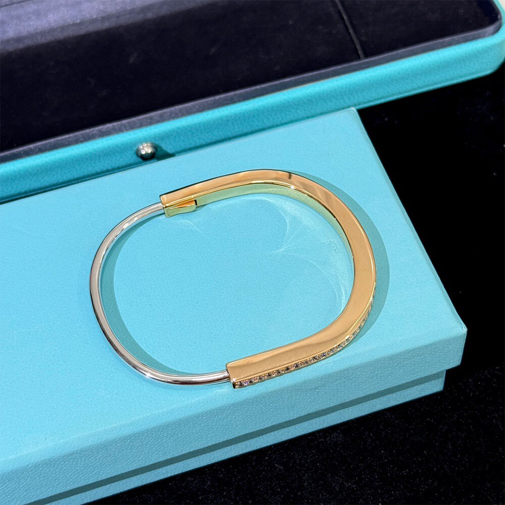 T*f*ny Lock Narrow Bangle