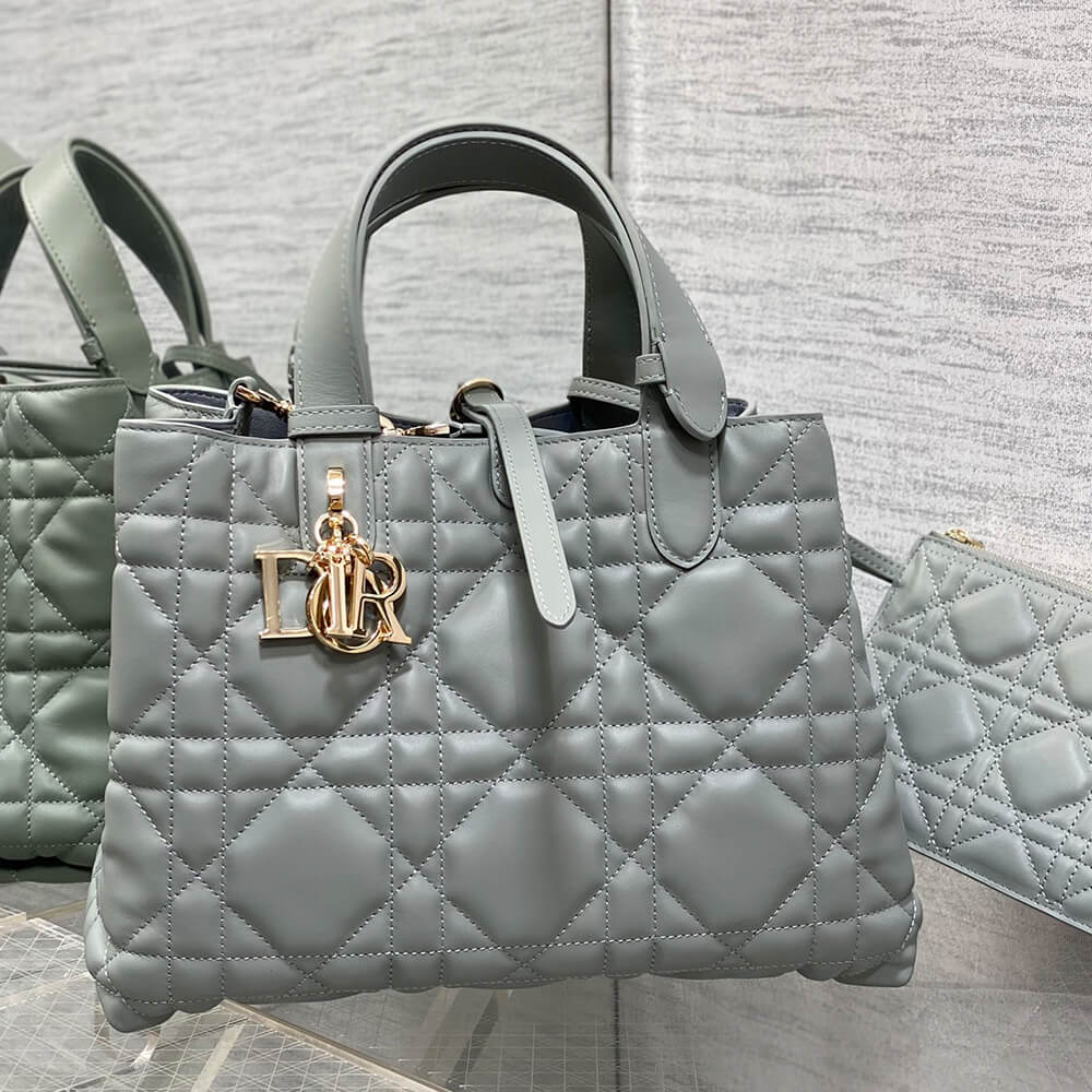 MEDIUM D10r TOUJOURS BAG