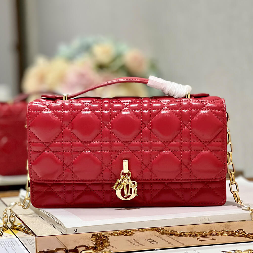 MISS D10r MINI BAG
