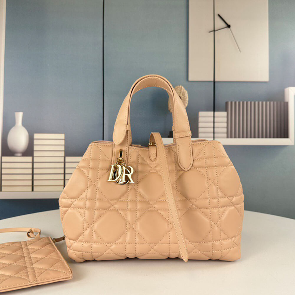 MEDIUM D10r TOUJOURS BAG