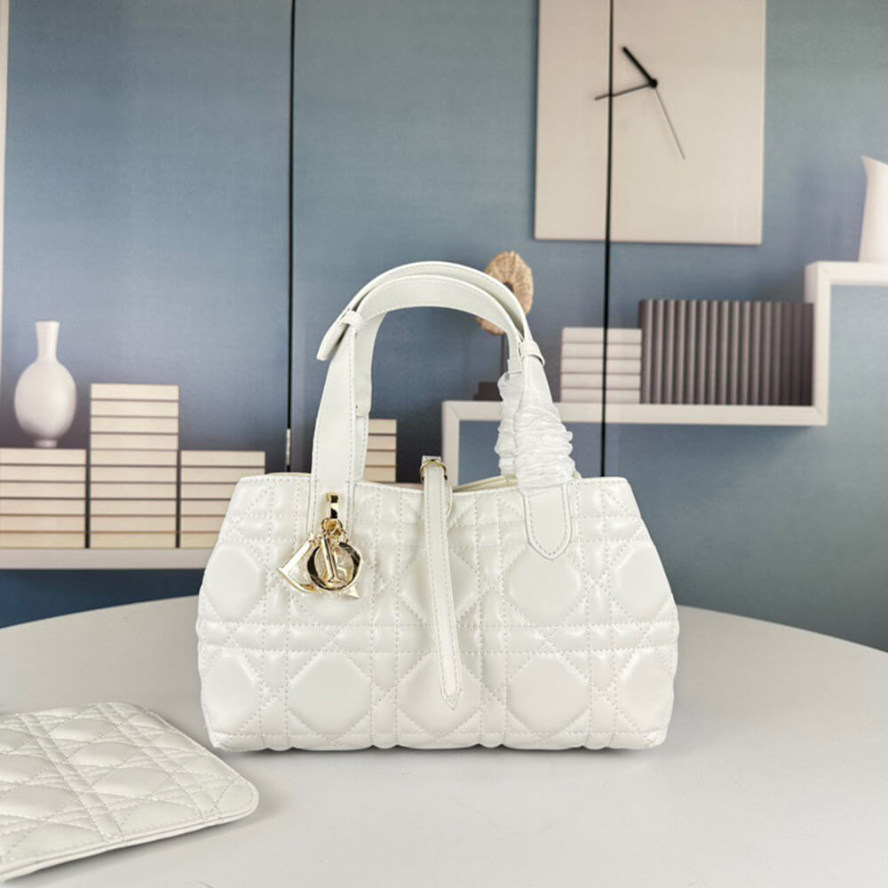 SMALL D10r TOUJOURS BAG