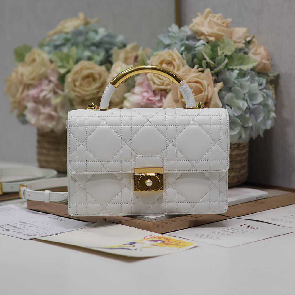 Medium D10r Ange Bag
