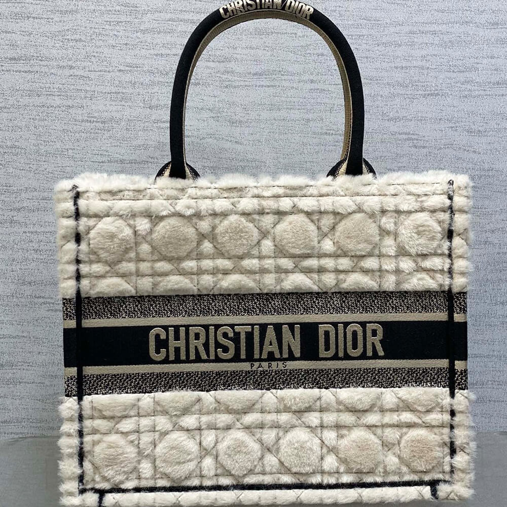 Medium D10r Book Tote