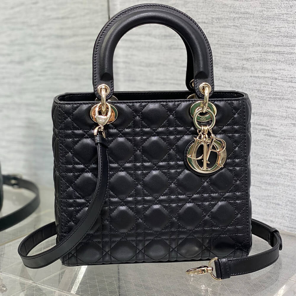 D10r MEDIUM LADY BAG
