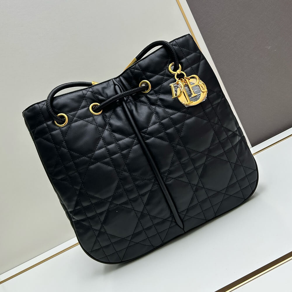 Large D10r Nolita Bag
