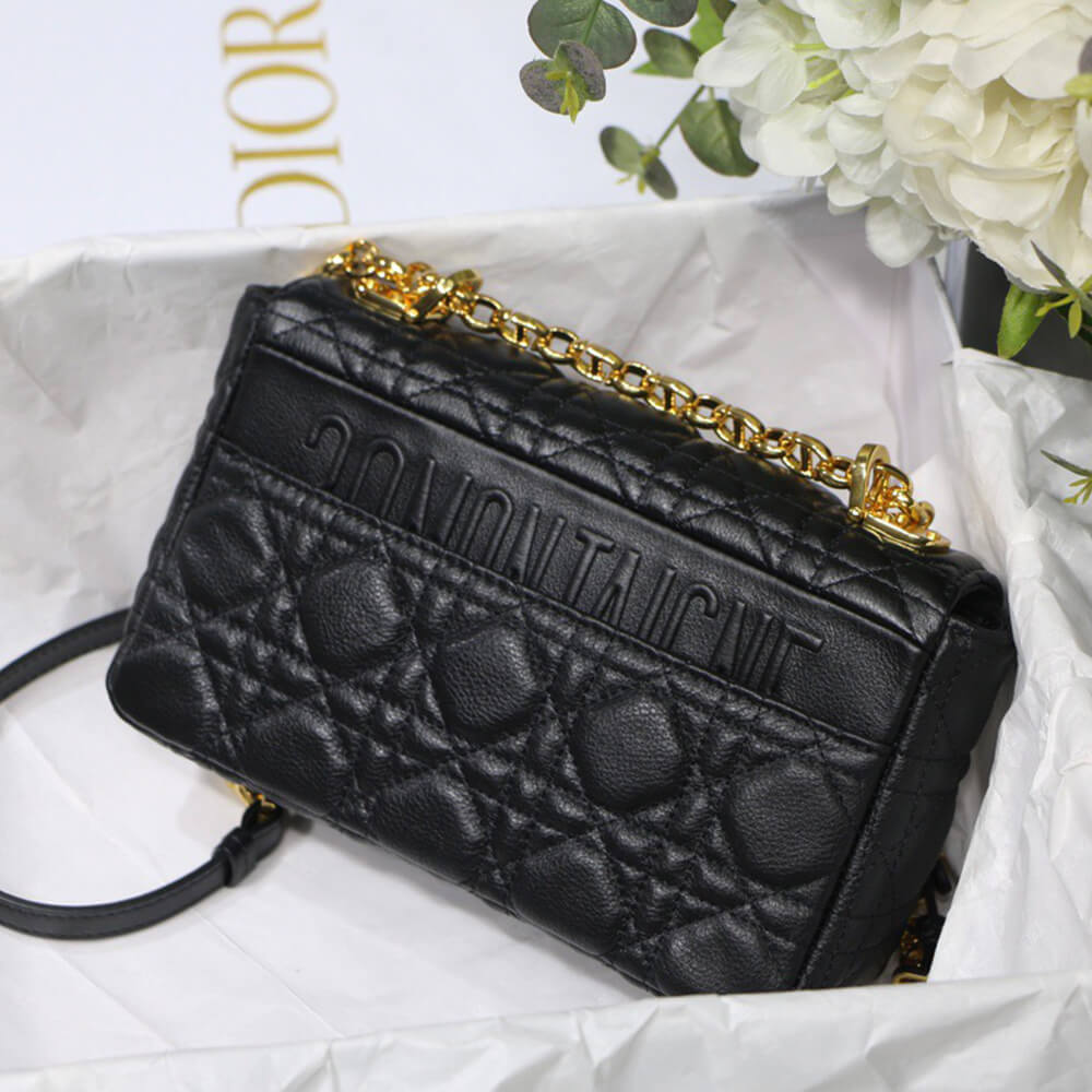 SMALL D10r CARO BAG