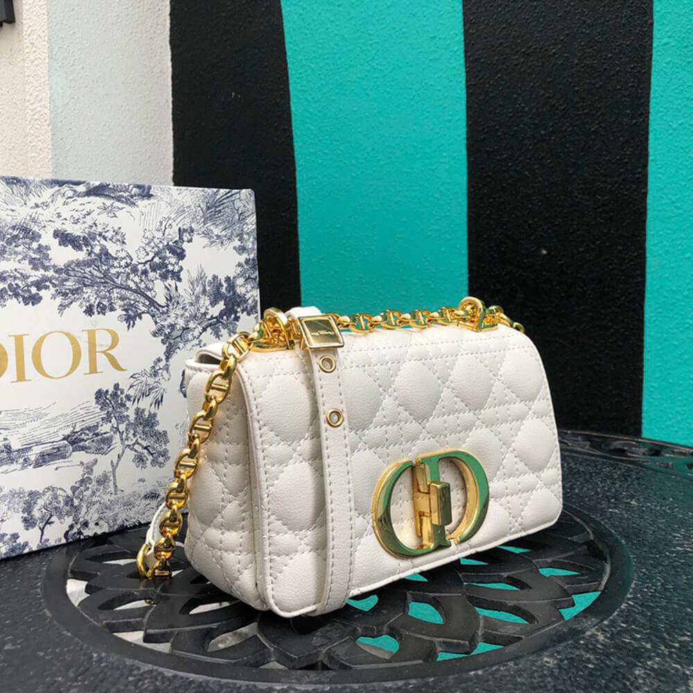 SMALL D10r CARO BAG
