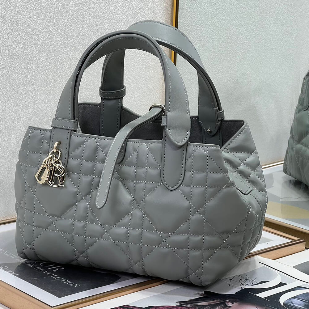 Small D10r TOUJOURS BAG