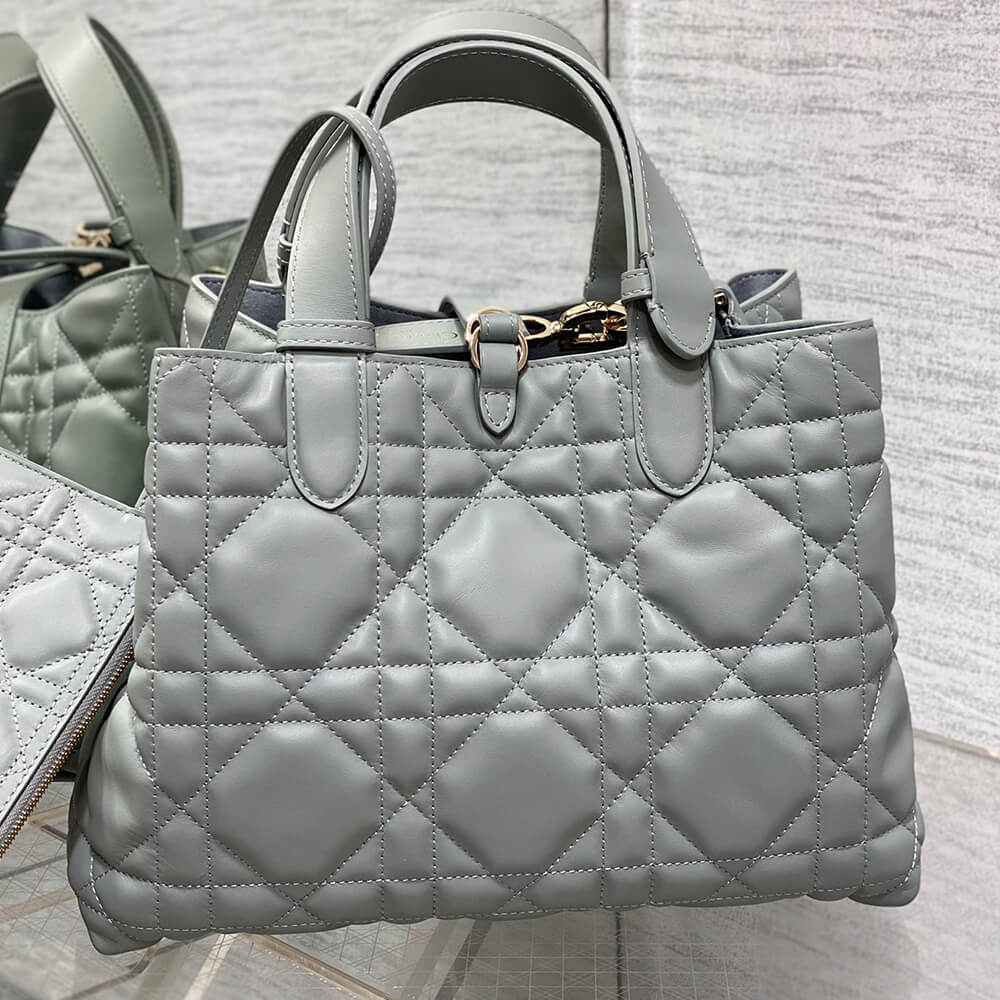MEDIUM D10r TOUJOURS BAG