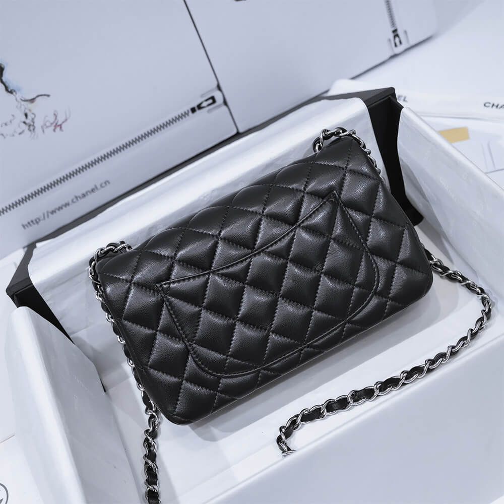 Ch**el MINI FLAP BAG