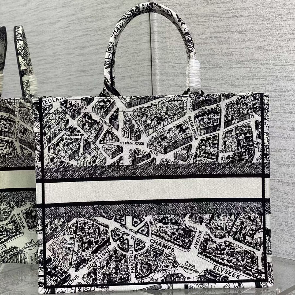 LARGE D10r BOOK TOTE