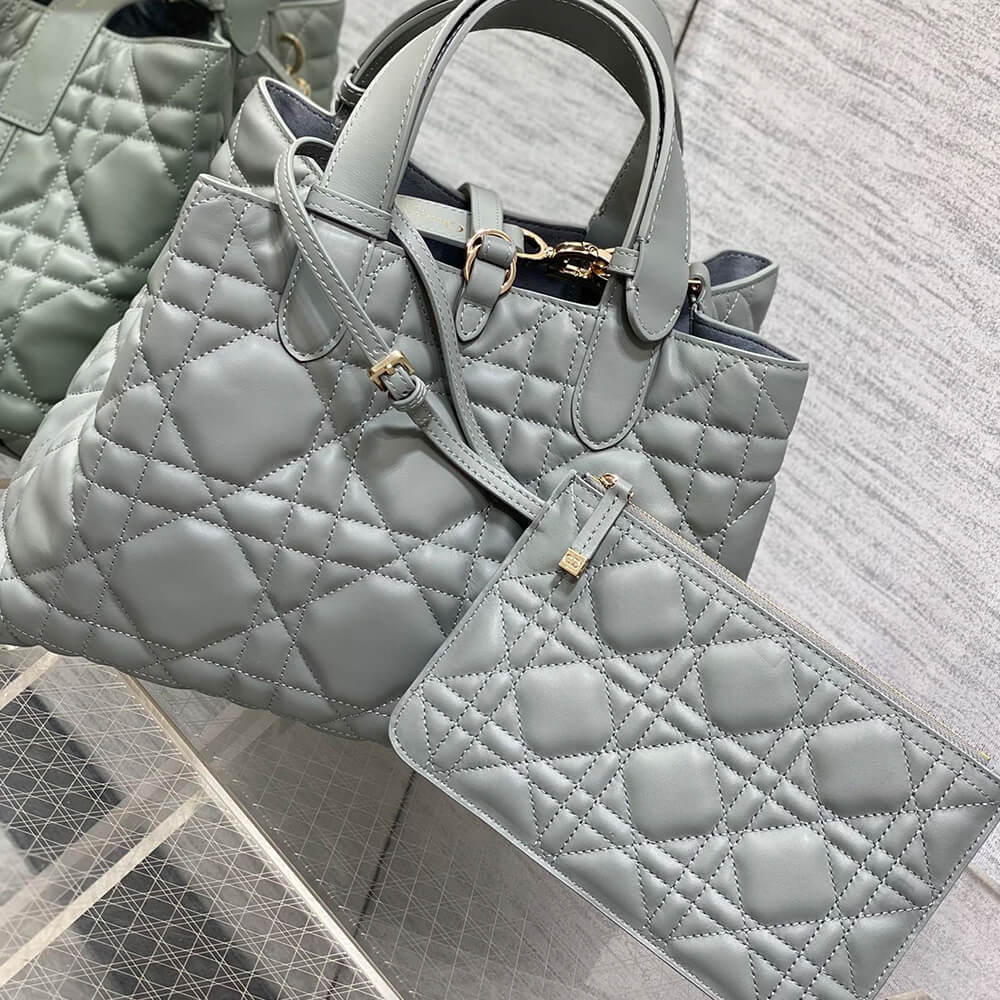 MEDIUM D10r TOUJOURS BAG