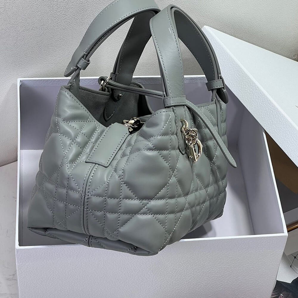Small D10r TOUJOURS BAG