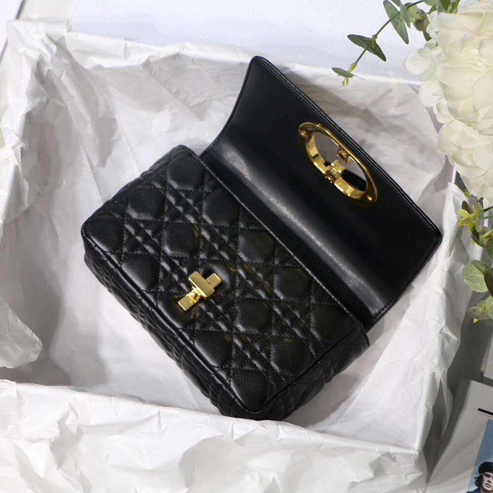 SMALL D10r CARO BAG