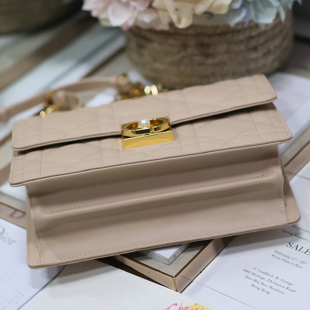 Medium D10r Ange Bag