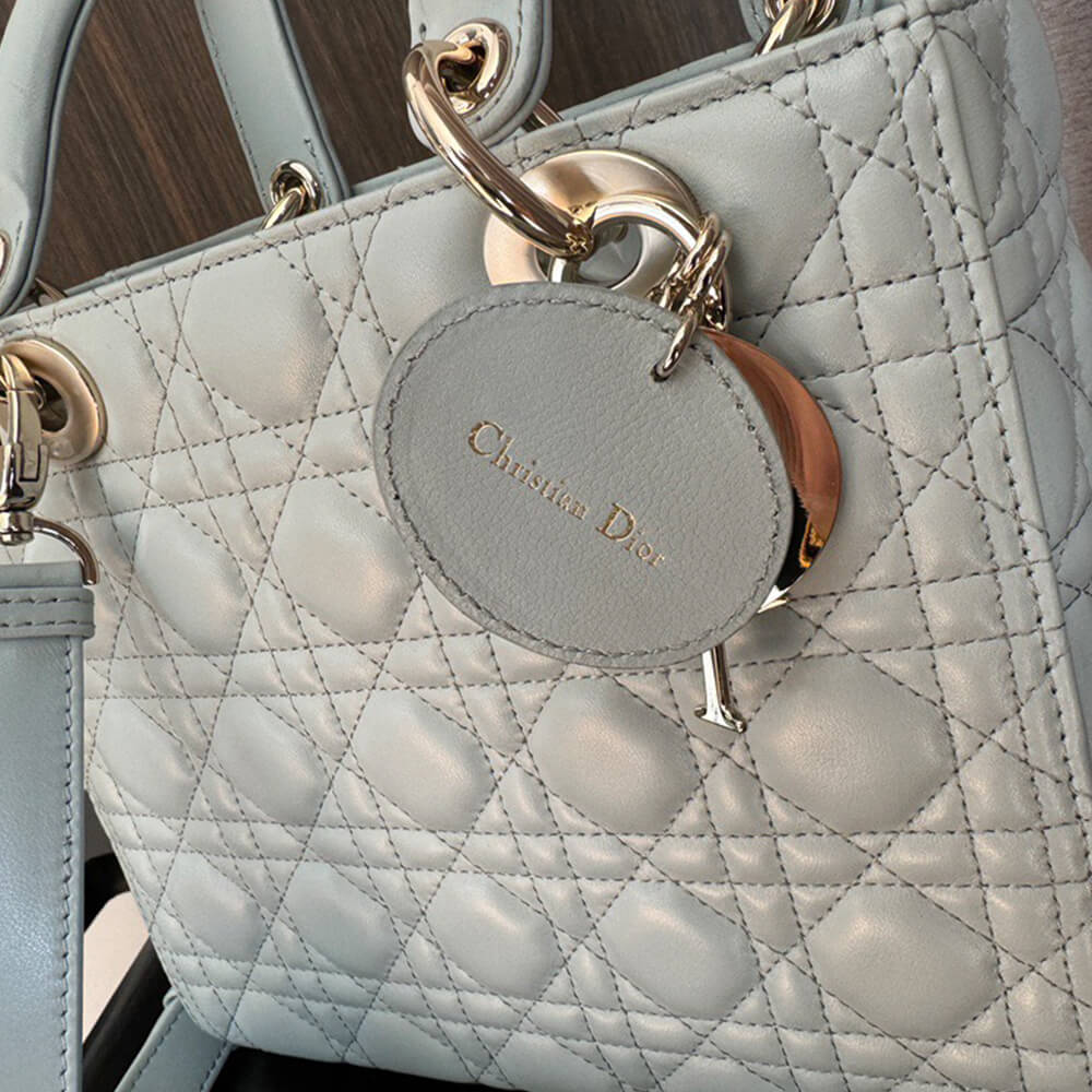 Medium Lady D10r Bag(HIGH-END GRADE)