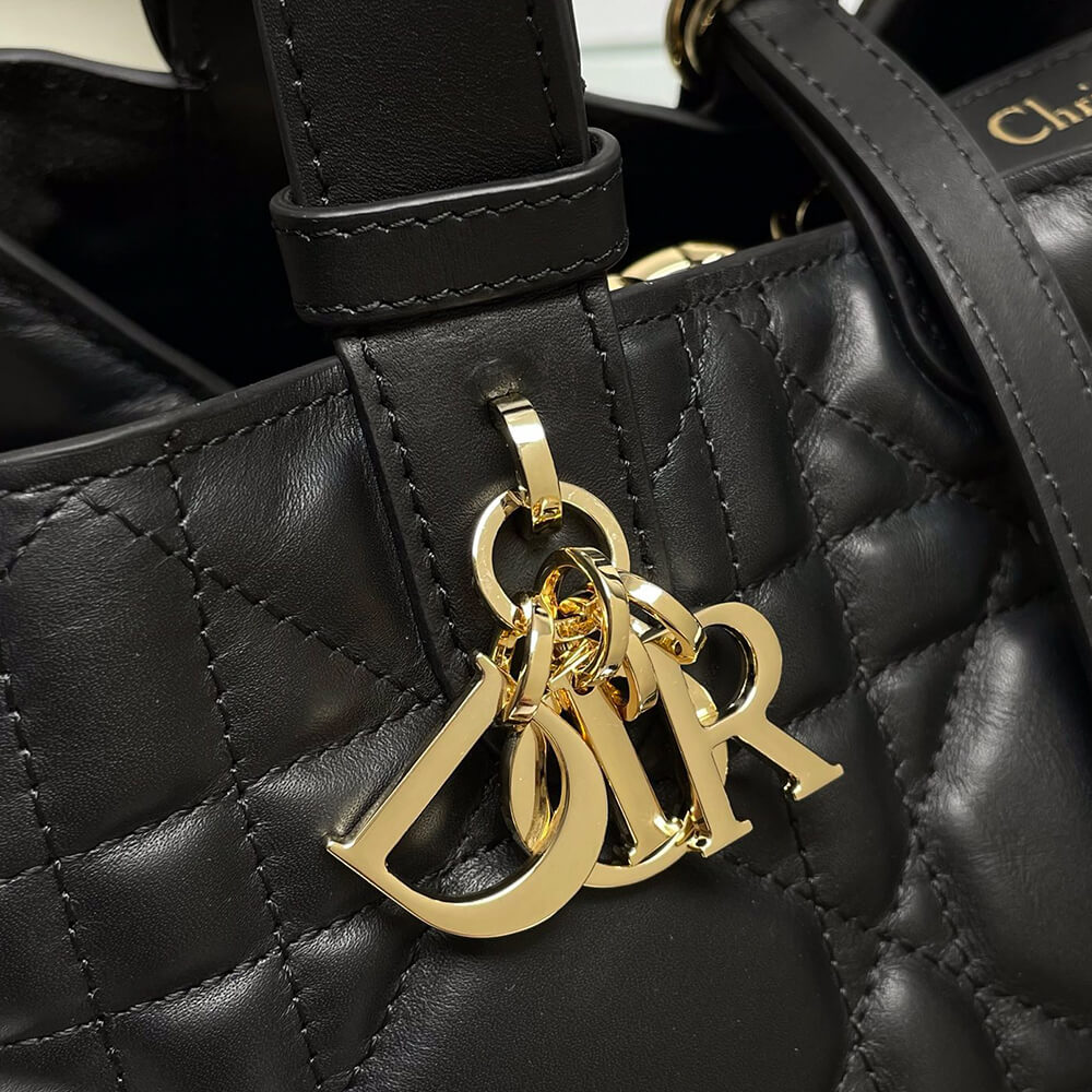 SMALL D10r TOUJOURS BAG(HIGH-END GRADE)