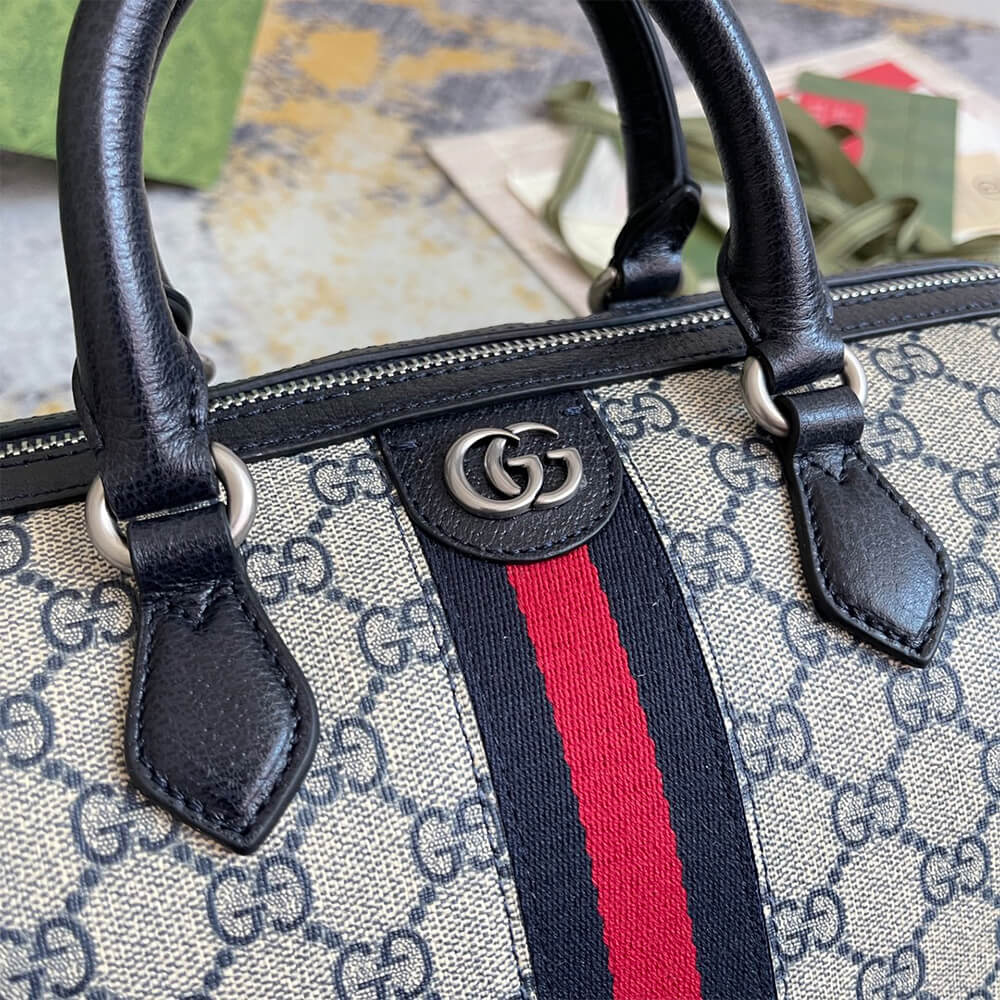 Gvc*1 Ophidia medium top handle bag