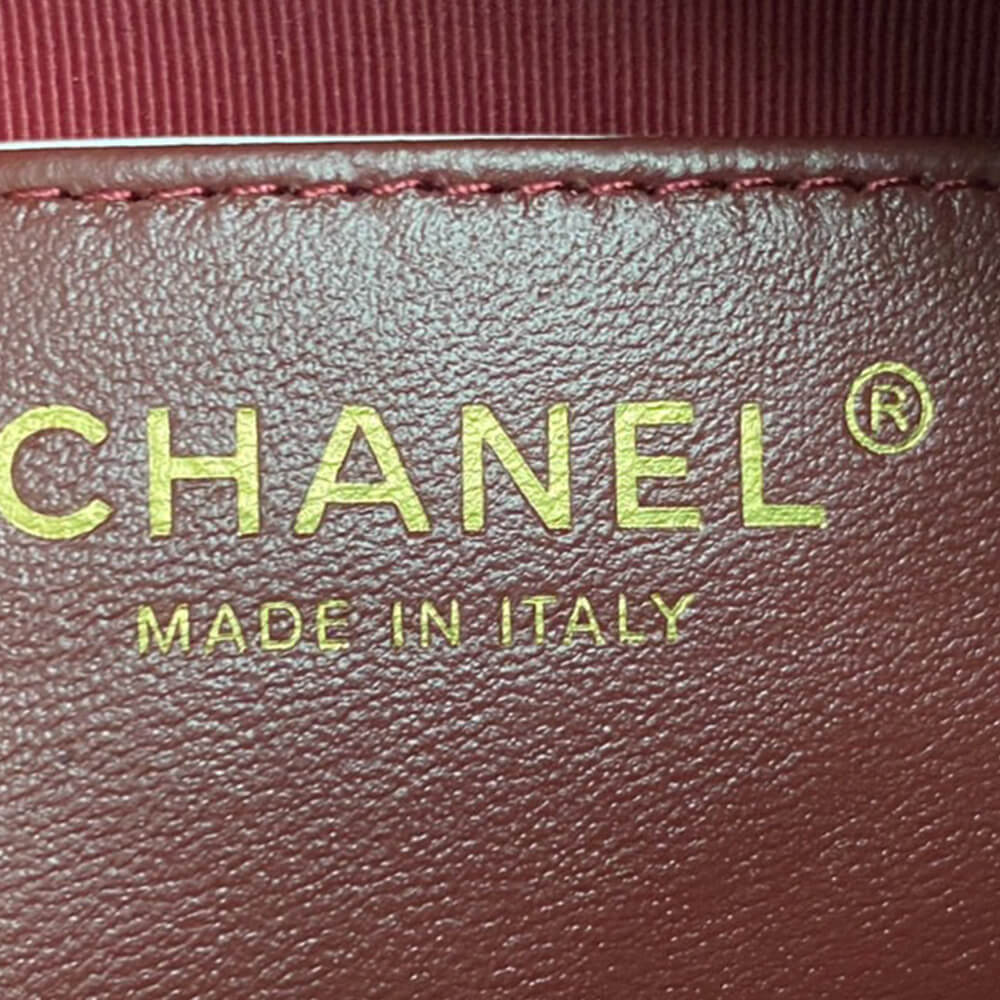 Ch**el Mini Camera Case