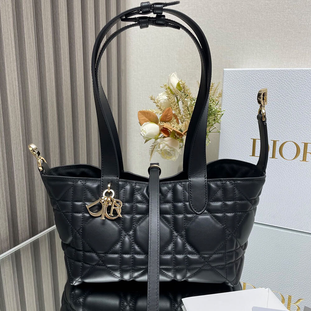 SMALL D10r TOUJOURS BAG(HIGH-END GRADE)