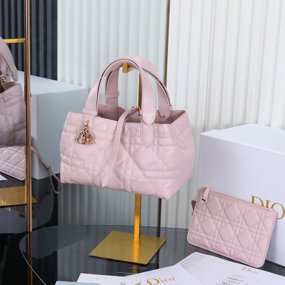 SMALL D10r TOUJOURS BAG(HIGH-END GRADE)