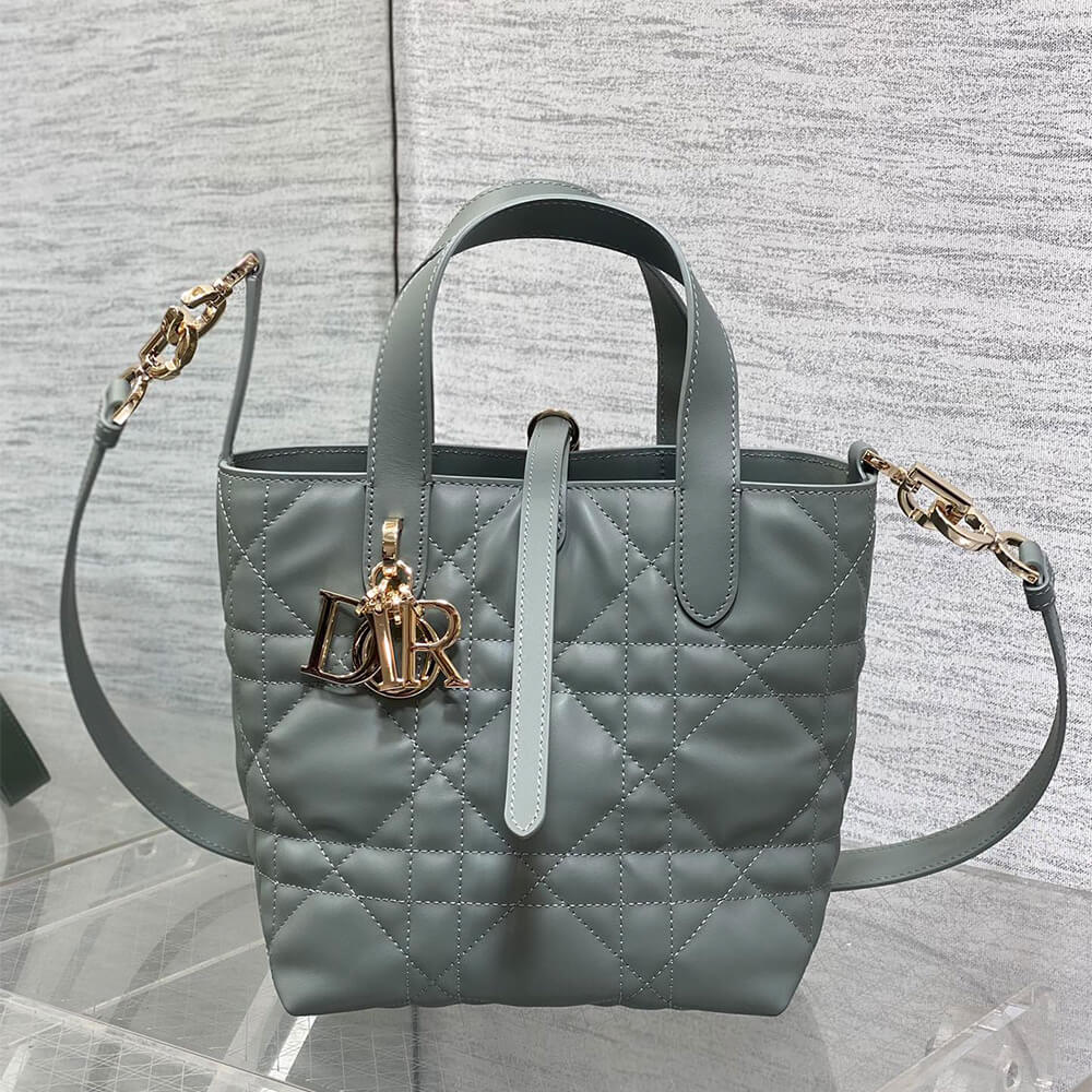 Small D10r Toujours Vertical Tote Bag(high-end grade)