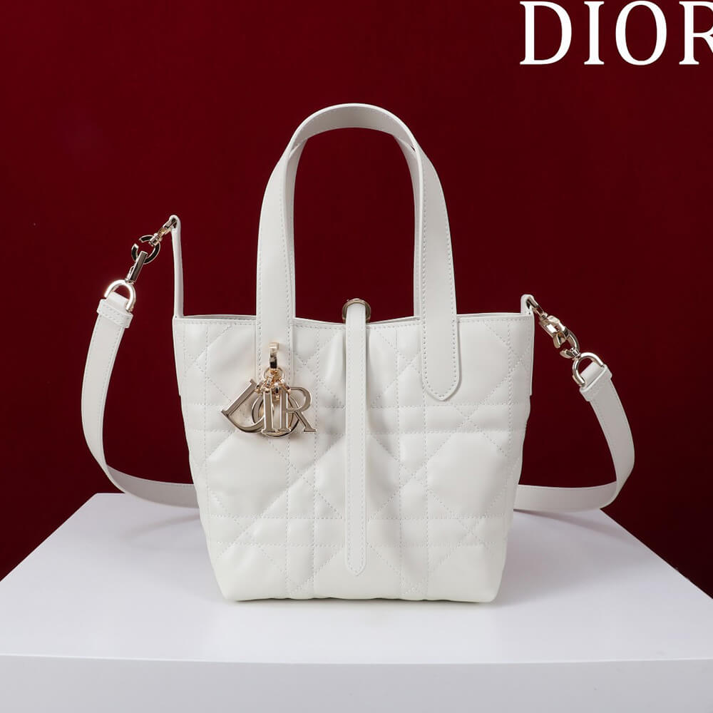 Small D10r Toujours Vertical Tote Bag(high-end grade)
