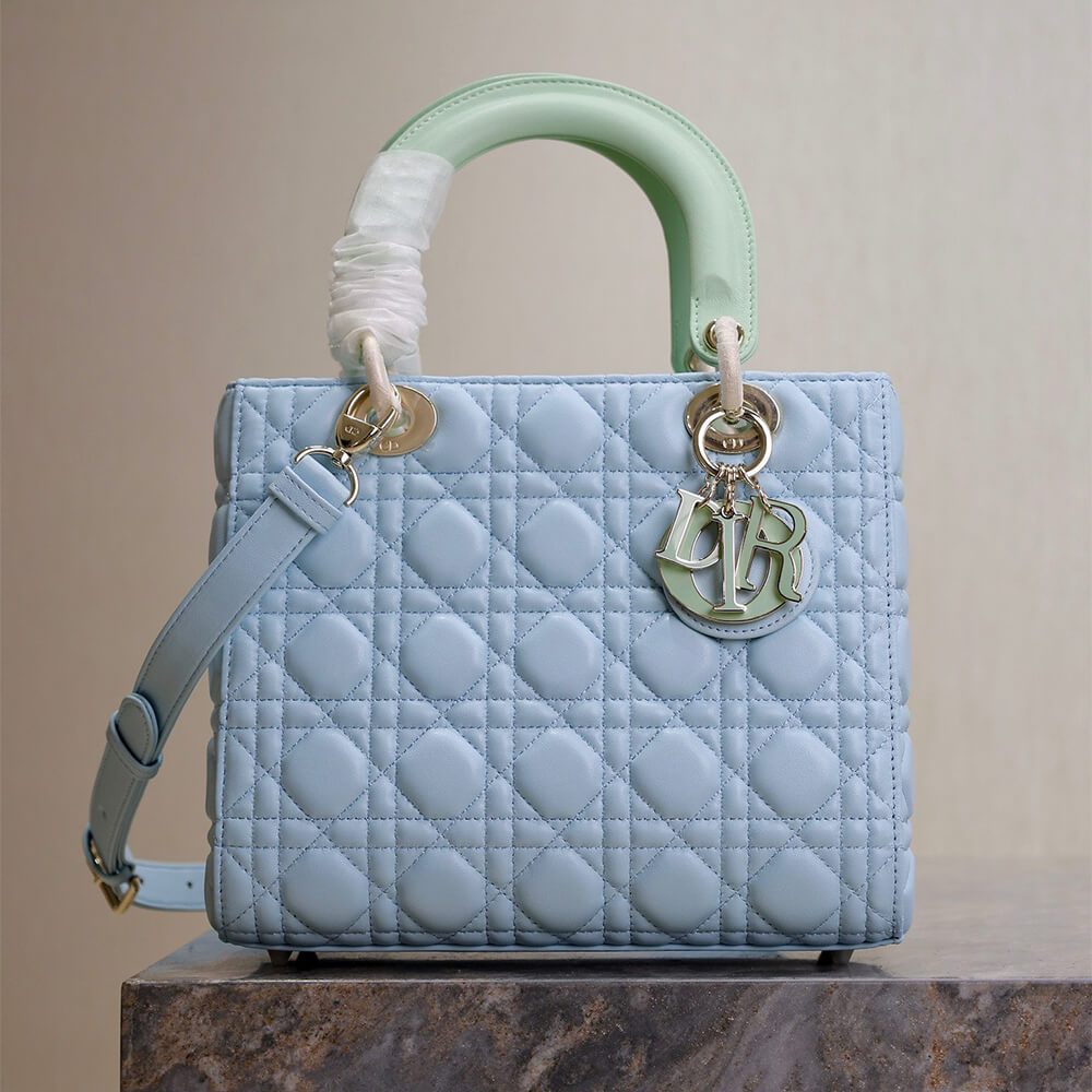 Medium Lady D10r Bag