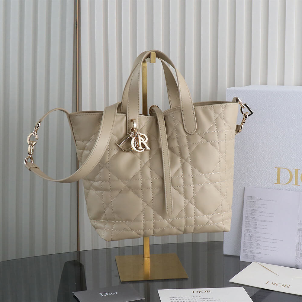 Medium D10r Toujours Vertical Tote Bag(high-end grade)