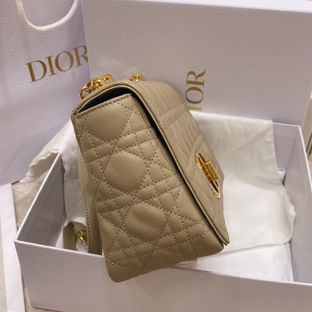 MEDIUM D10r CARO BAG(HIGH-END GRADE)