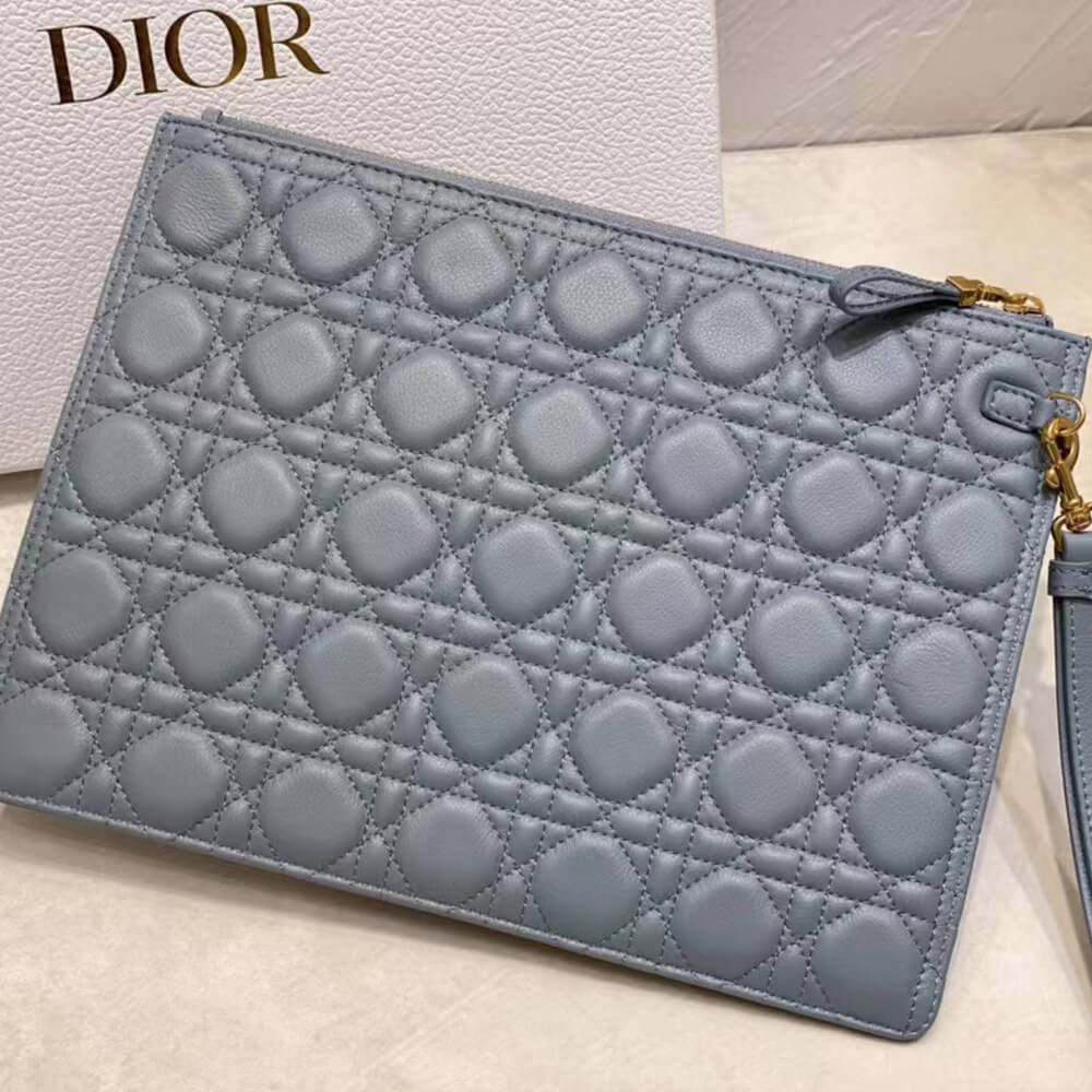 Large D10r Caro Daily Pouch(HIGH-END GRADE)