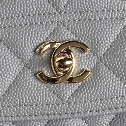 Ch**el 25C Mini Backpack