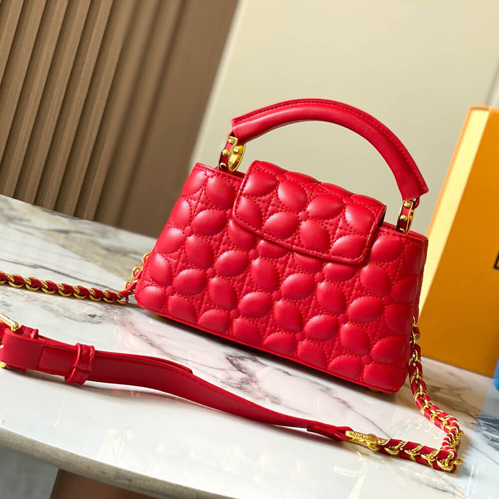 LV Capucines East-West Mini(high-end grade)