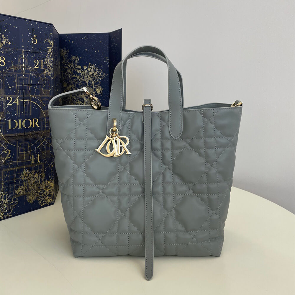 Medium D10r Toujours Vertical Tote Bag(high-end grade)