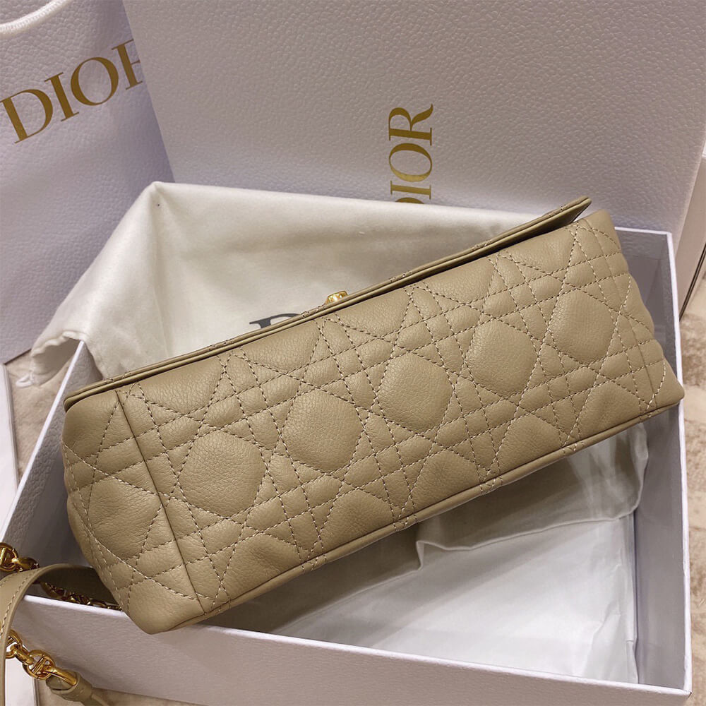 MEDIUM D10r CARO BAG(HIGH-END GRADE)