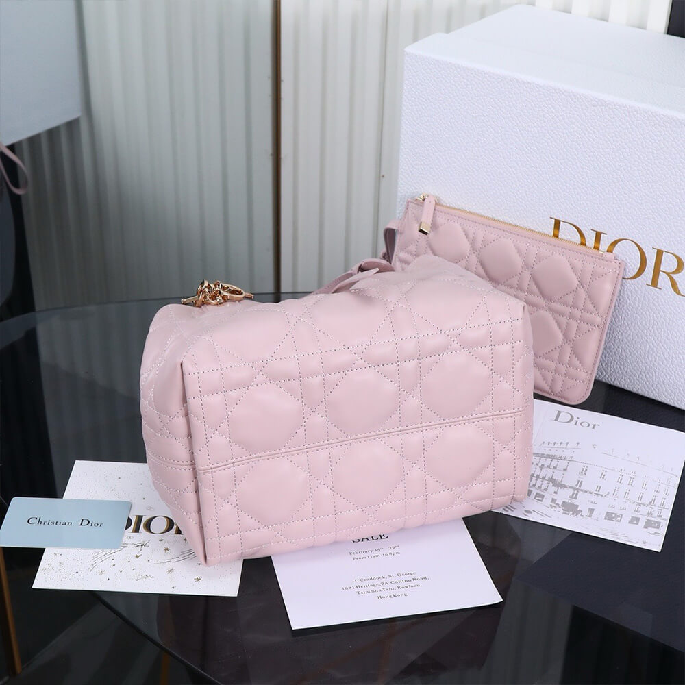 SMALL D10r TOUJOURS BAG(HIGH-END GRADE)