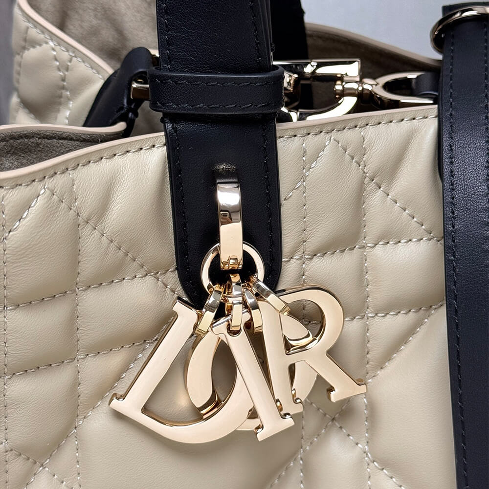 Medium D10r Toujours Bag