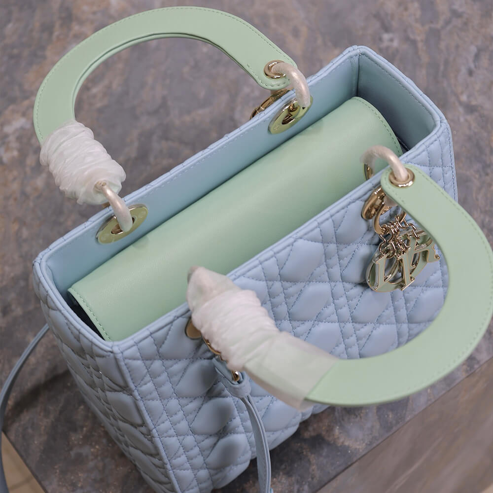 Medium Lady D10r Bag