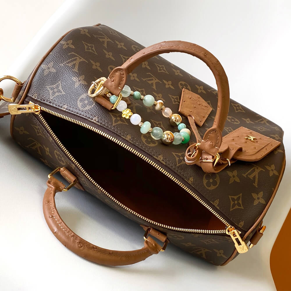 LV Speedy Soft 30 Boho