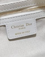 D10r Small D-Journey Bag in Vintage Smooth Calfskin(high-end grade)