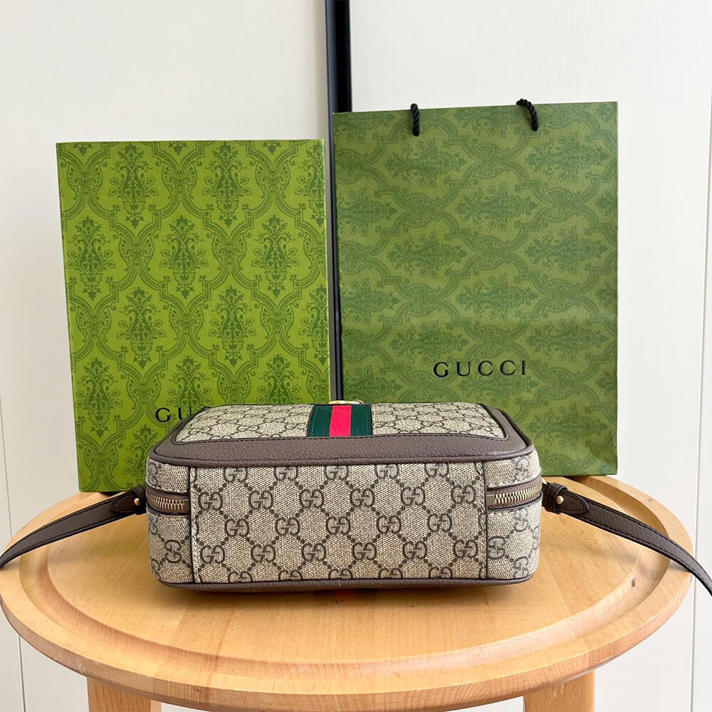 Gvc*1 Ophidia small top handle bag
