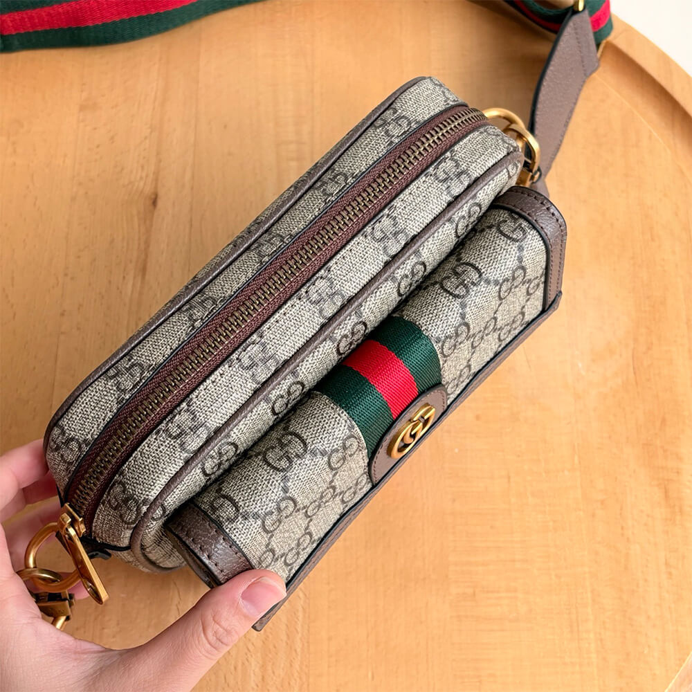 Gvc*1 Ophidia mini bag