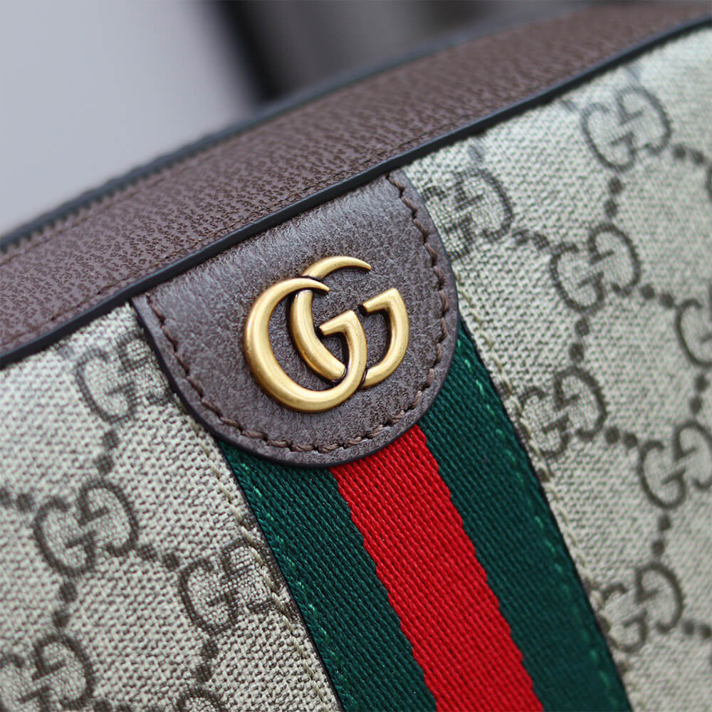 Gvc*1 Ophidia small crossbody bag