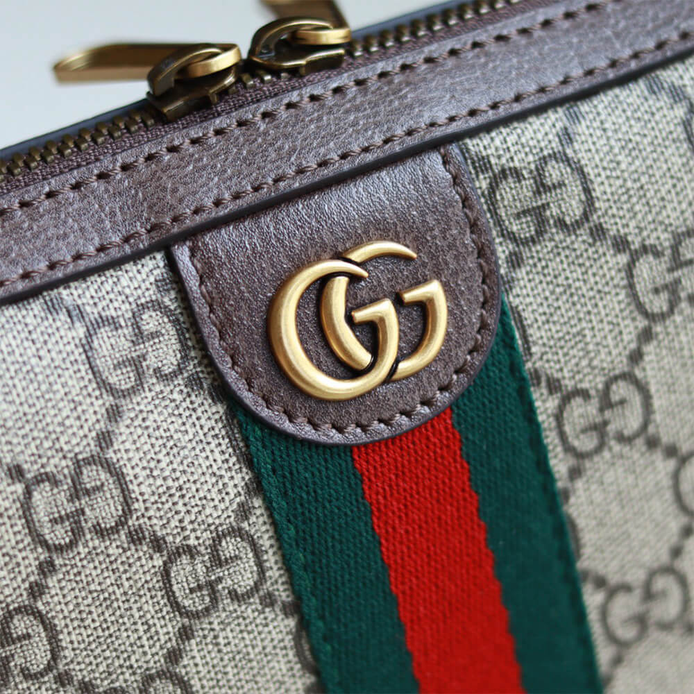 Gvc*1 Ophidia small crossbody bag