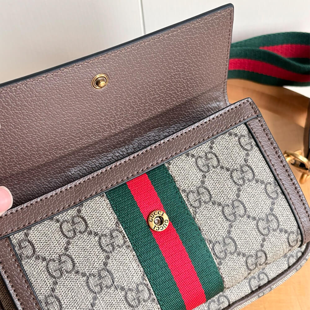 Gvc*1 Ophidia mini bag