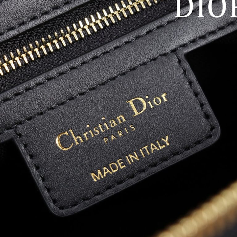 D10r Medium D-Journey Bag in Shiny Goatskin(HIGH-END GRADE)