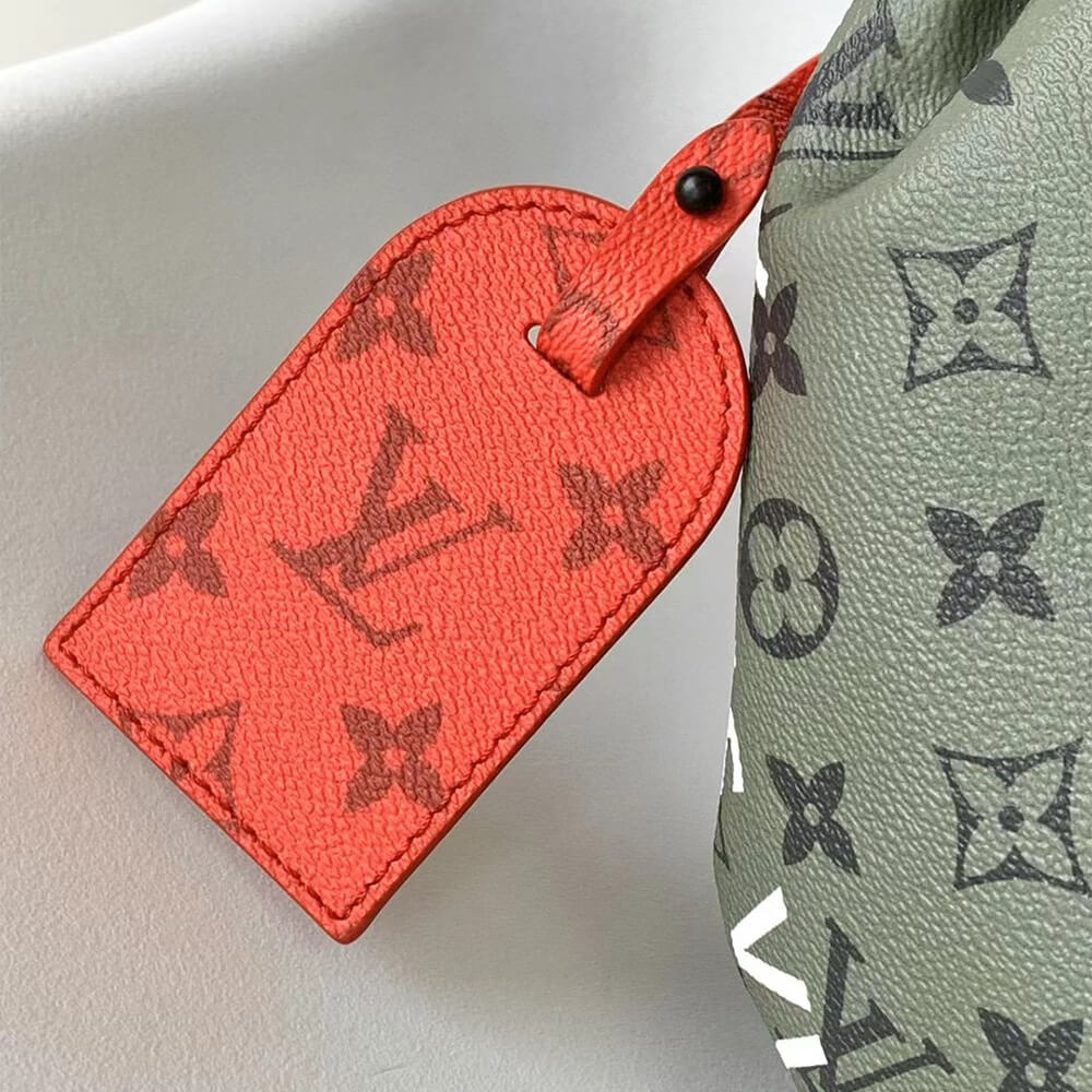 LV Hobo Hamac Bag