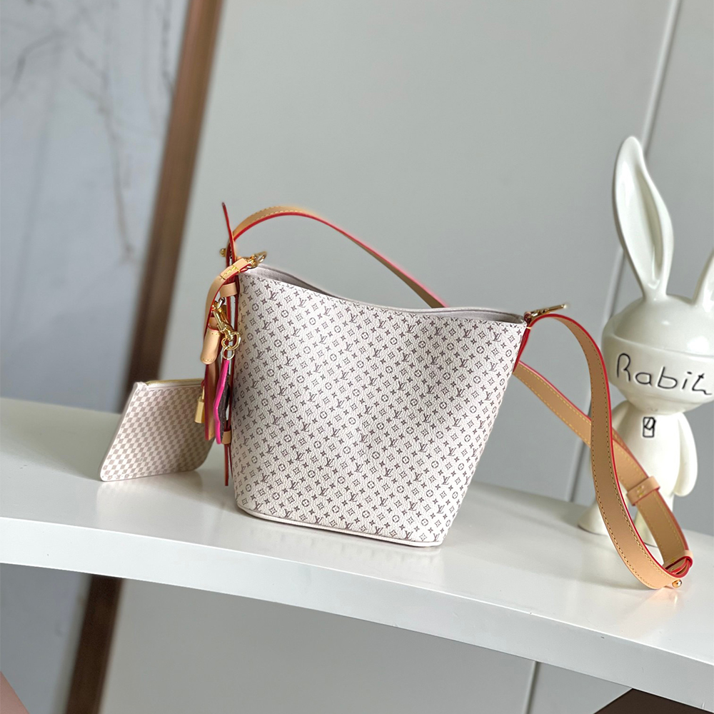 LV ALL IN BB Bag