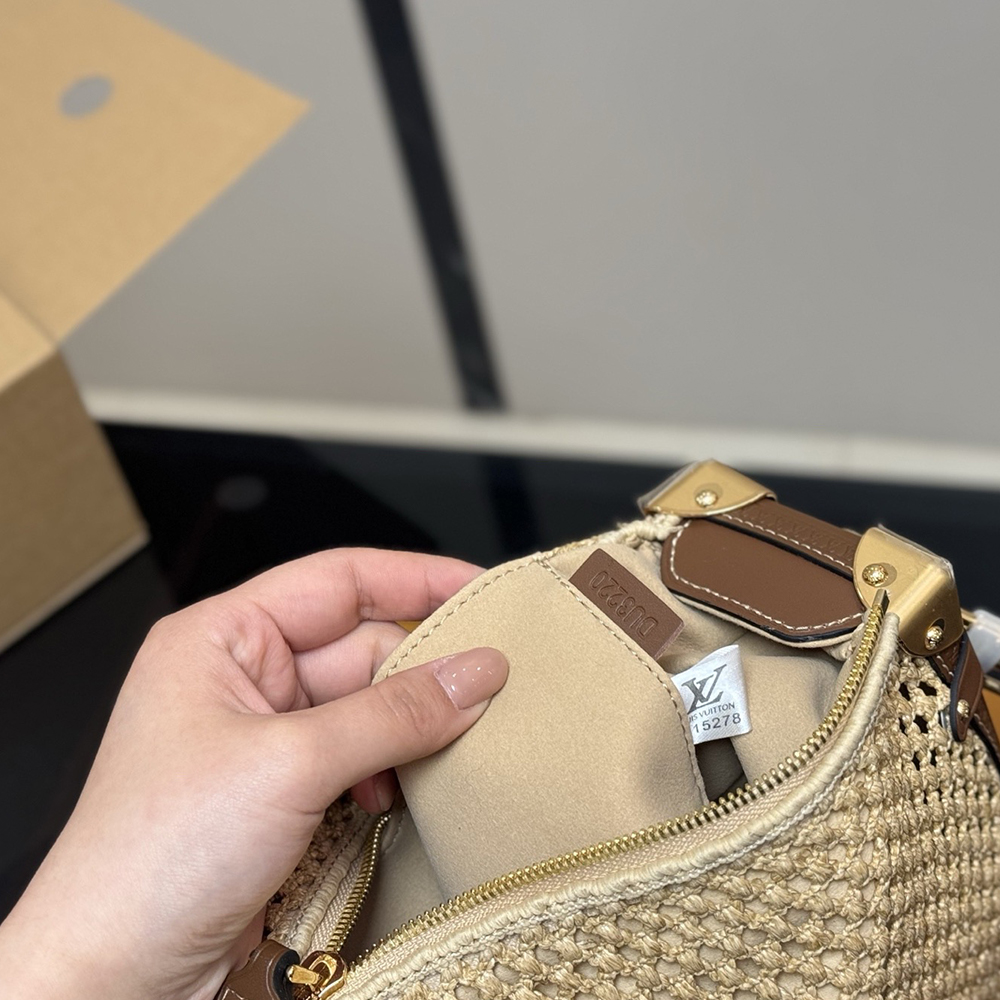 LV Side Trunk MM Bag