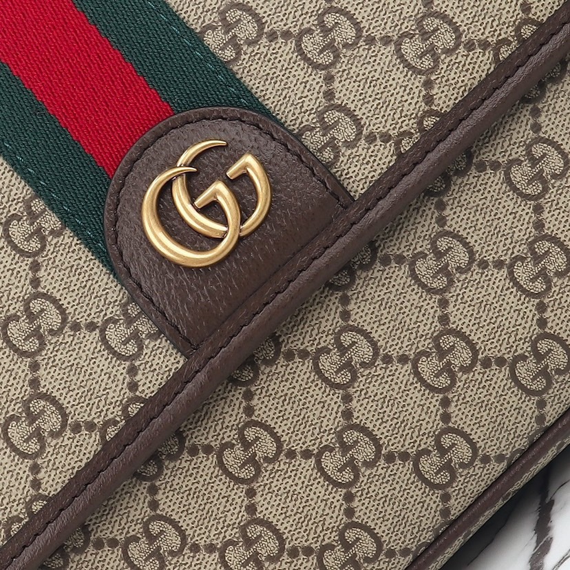 Gvc*1 Ophidia series medium messenger bag